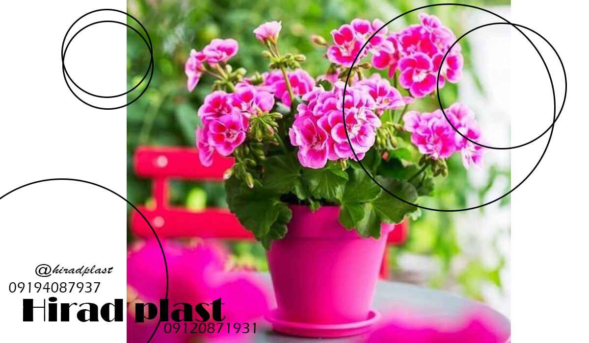 خرید گلدان پلاستیکی