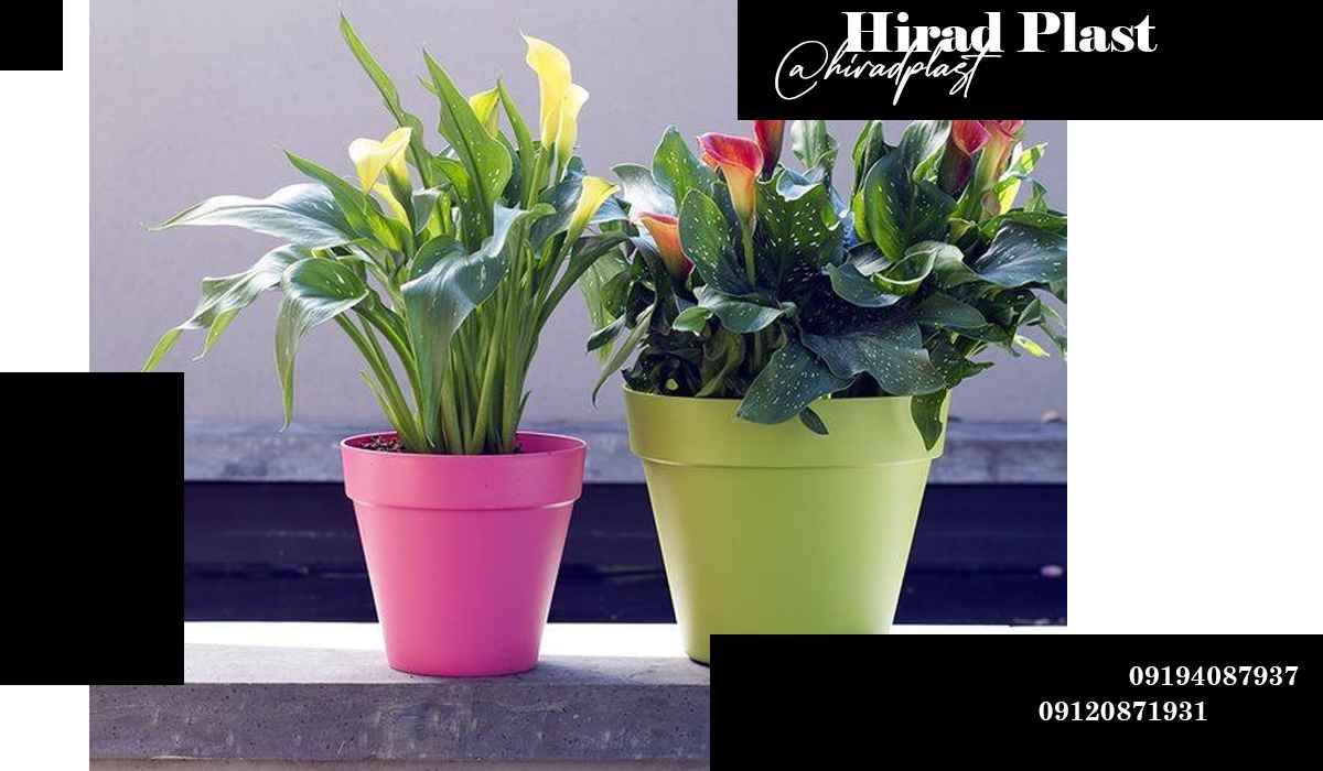 خرید گلدان پلاستیکی