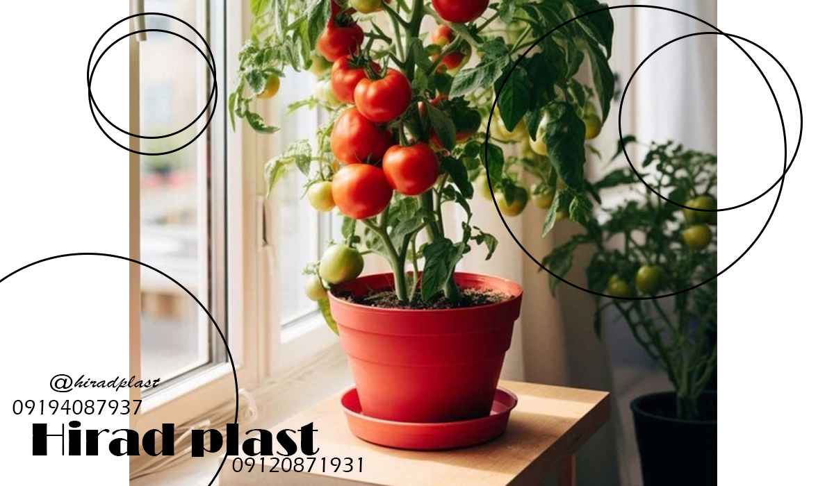 قیمت گلدان پلاستیکی