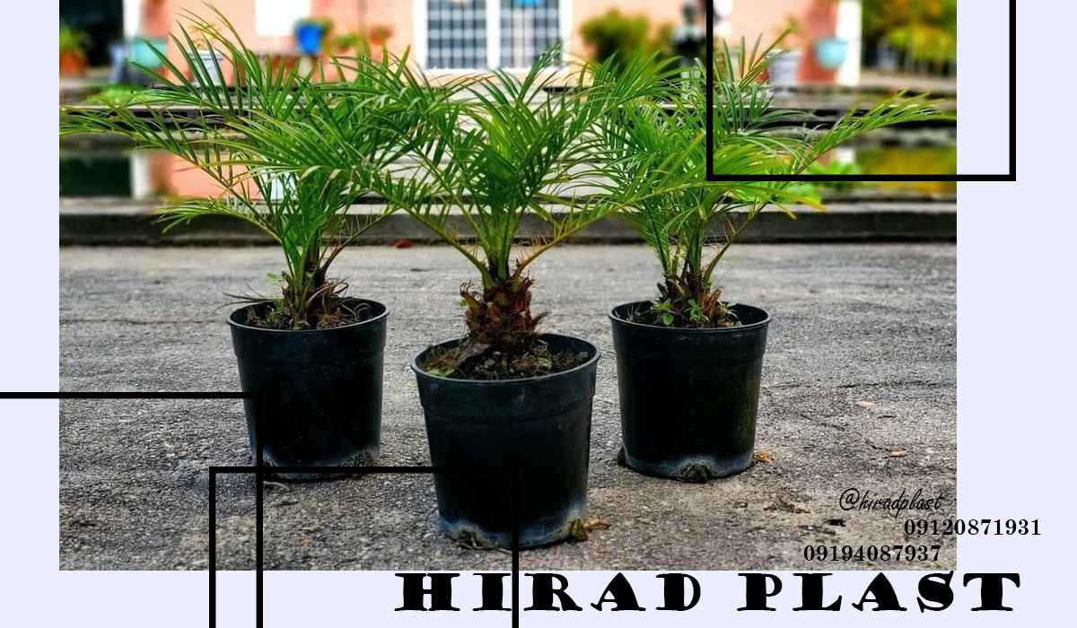 قیمت گلدان پلاستیکی