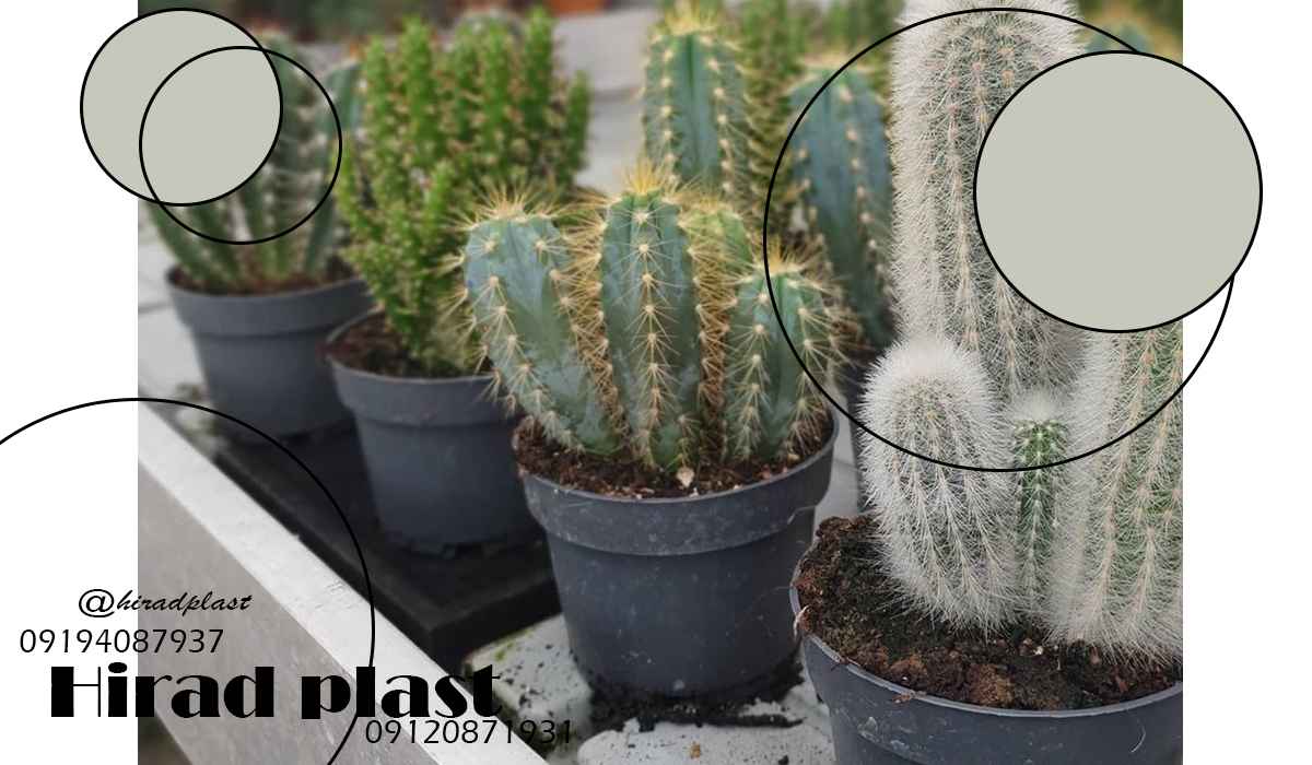 گلدان مشکی گلخانه ای