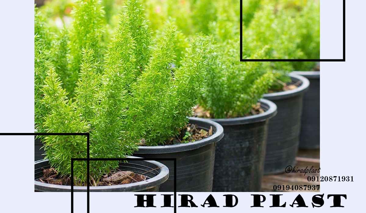 گلدان گلخانه ای