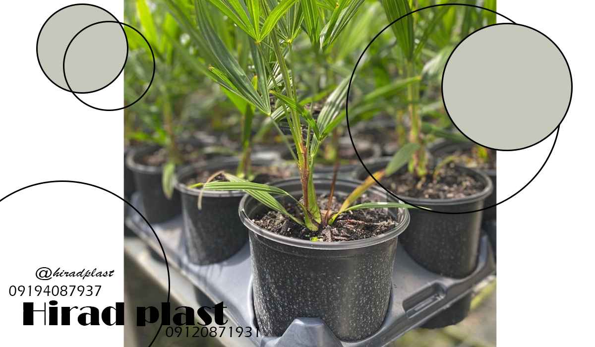 گلدان پلاستیکی