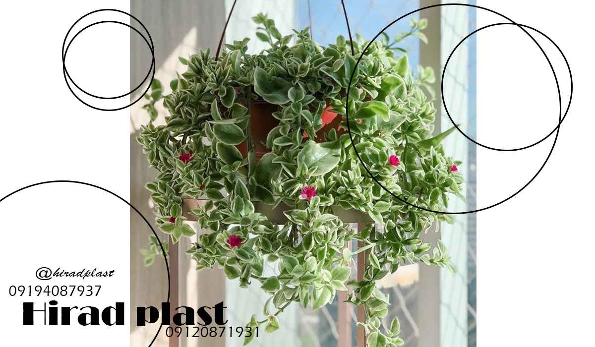 گلدان پلاستیکی آویز