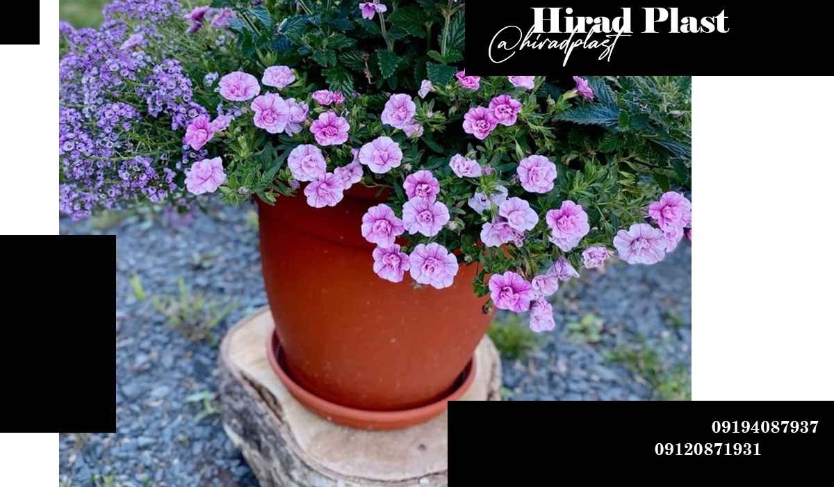گلدان پلاستیکی ارزان