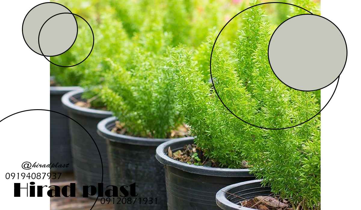 گلدان پلاستیکی ارزان