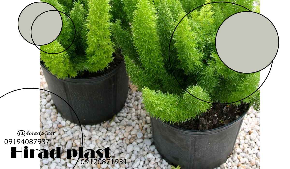 گلدان پلاستیکی باغی