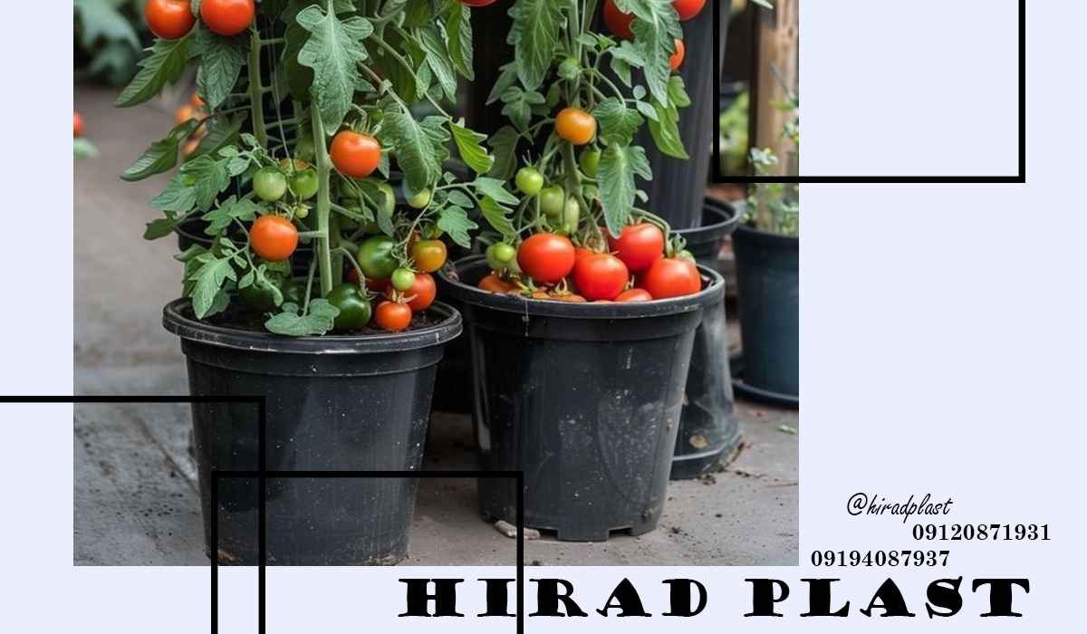 گلدان پلاستیکی باغی