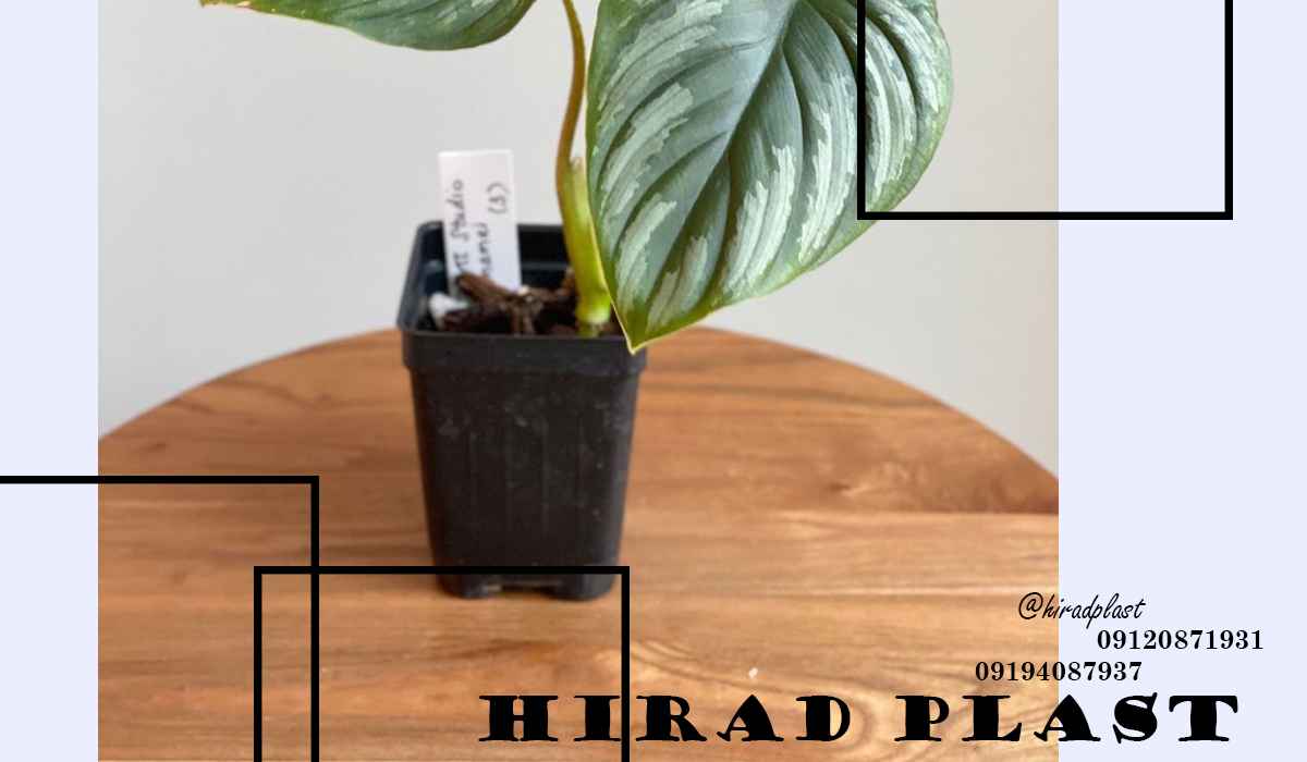 گلدان پلاستیکی جعبه ای