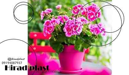 گلدان پلاستیکی عمده