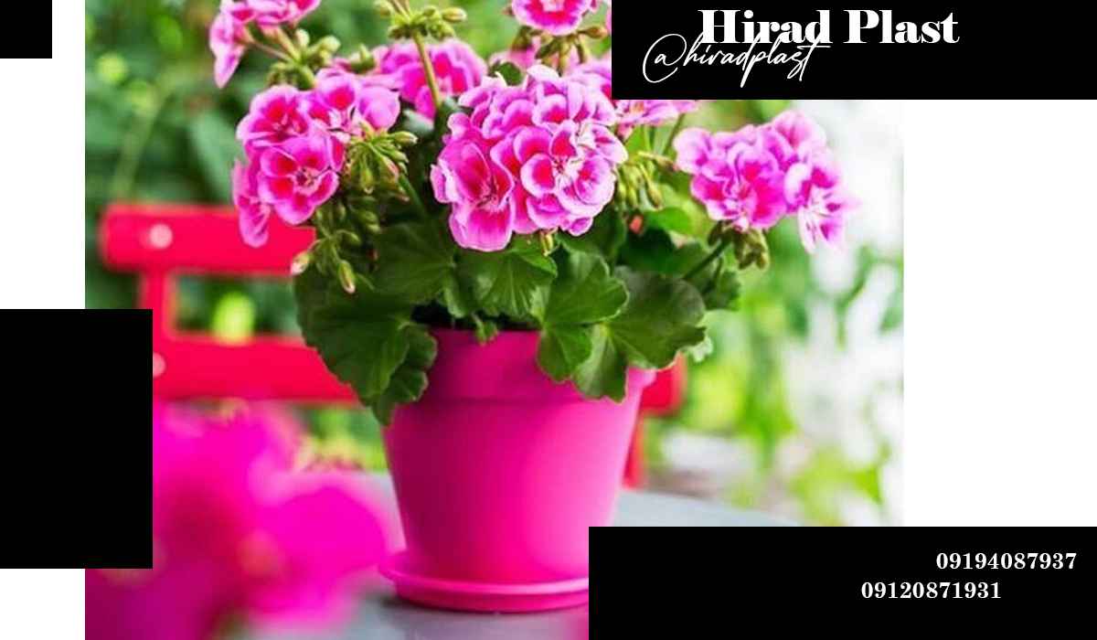 گلدان پلاستیکی عمده