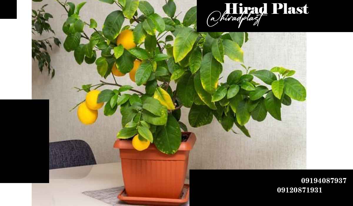 گلدان پلاستیکی مربع