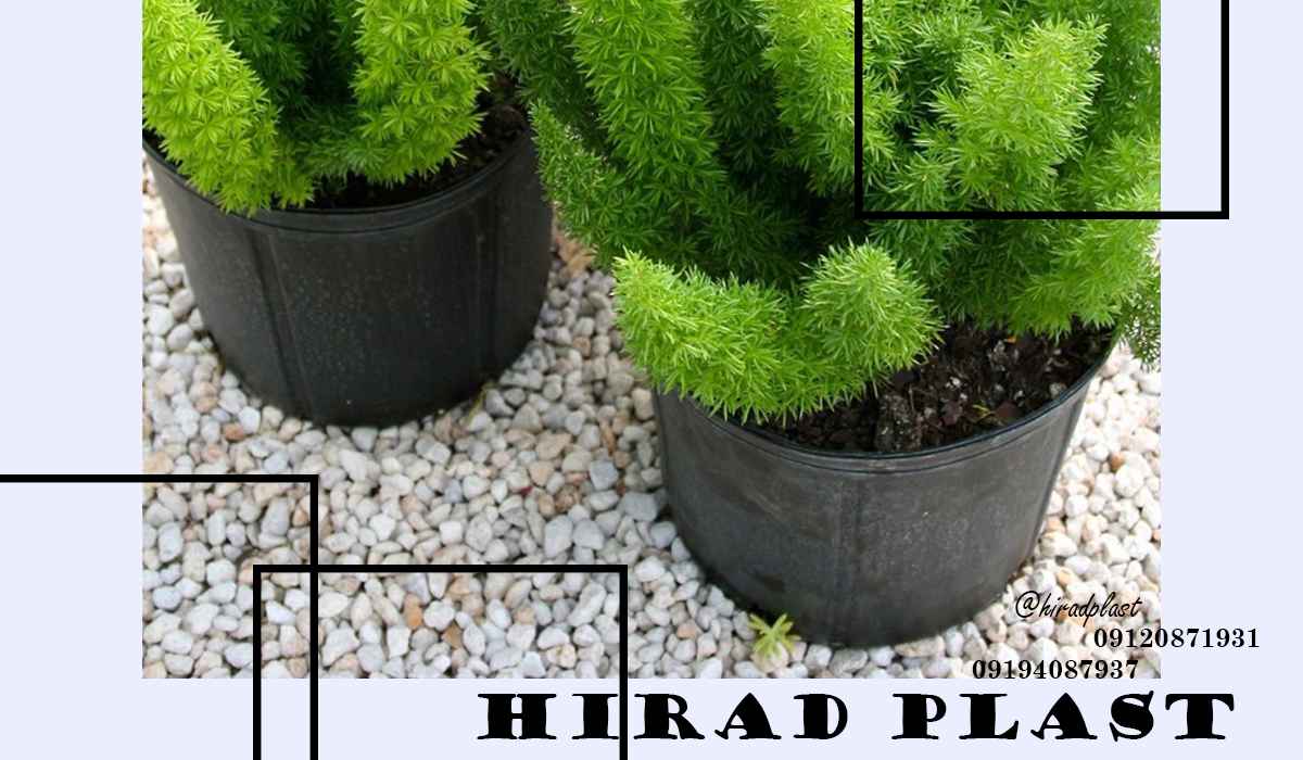 گلدان پلاستیکی مشکی