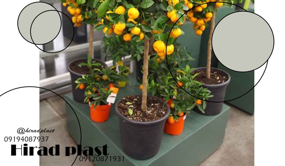 گلدان پلاستیکی مشکی