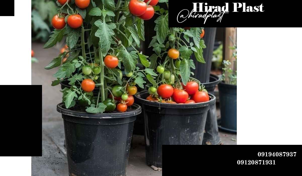 گلدان پلاستیکی مشکی