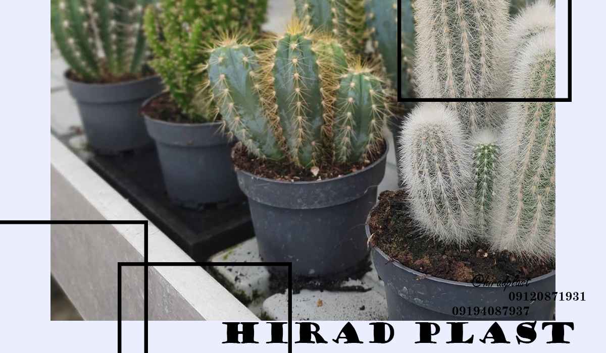 گلدان پلاستیکی نشا