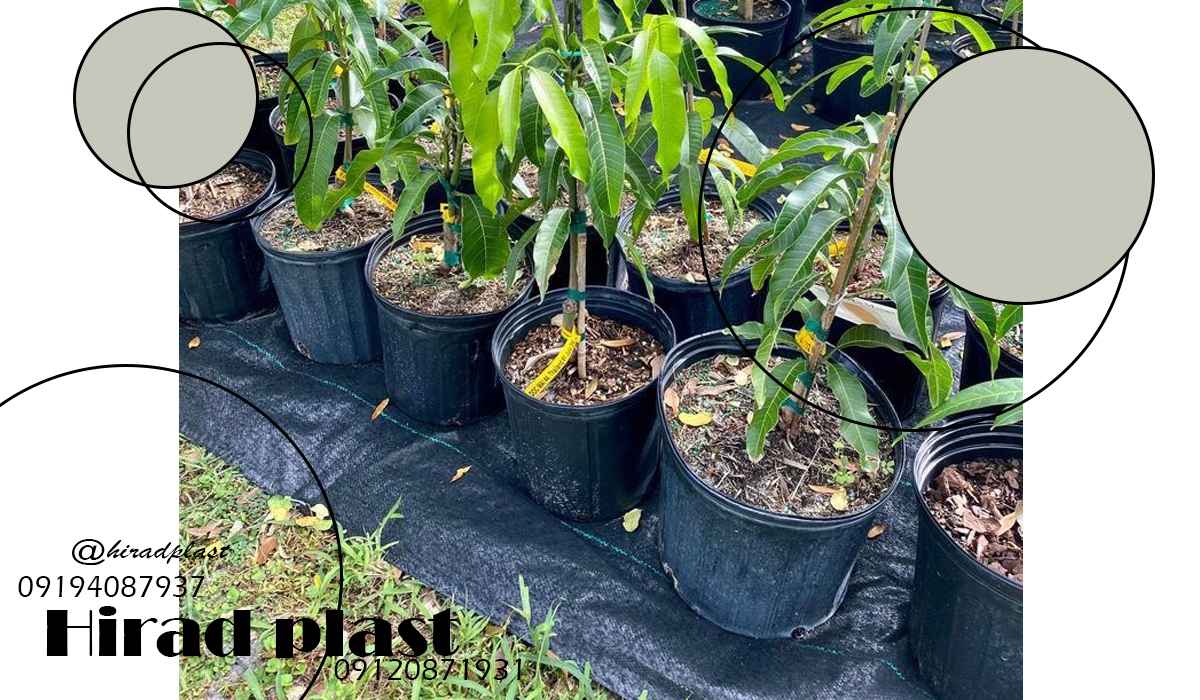 گلدان پلاستیکی کشاورزی