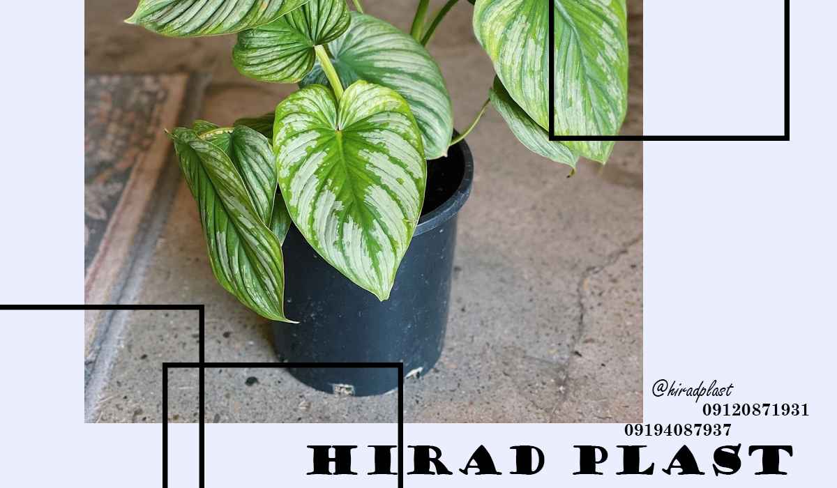 گلدان پلاستیکی گلخانه ای