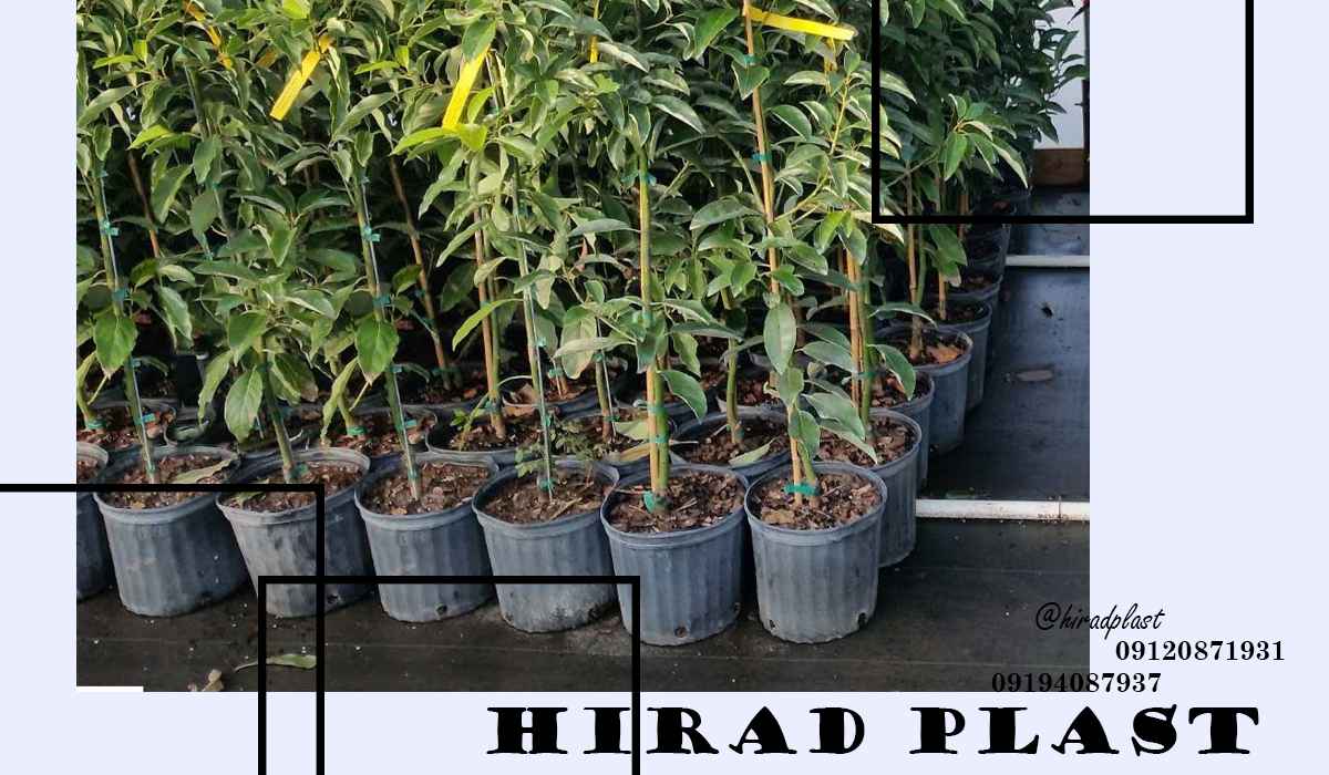 گلدان کشاورزی