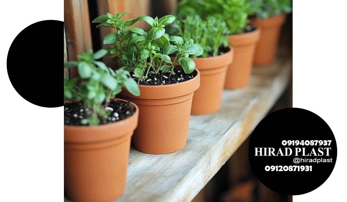 خرید گلدان پلاستیکی