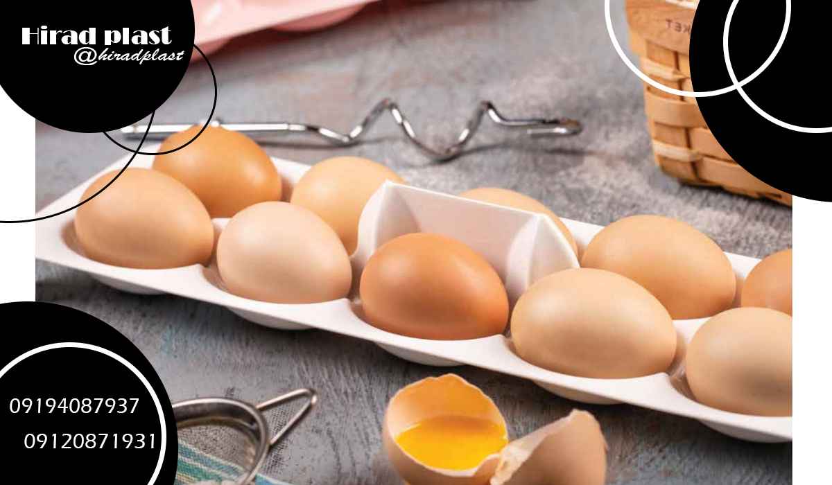 سرویس پلاستیکی دیجی کالا