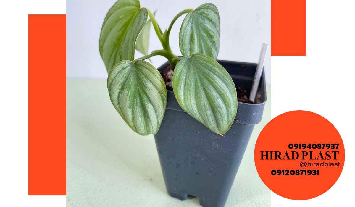 قیمت گلدان پلاستیکی