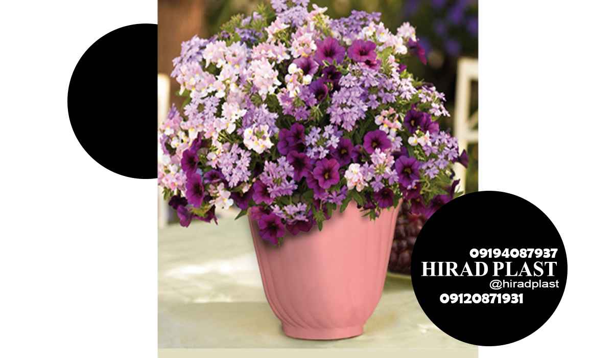قیمت گلدان پلاستیکی