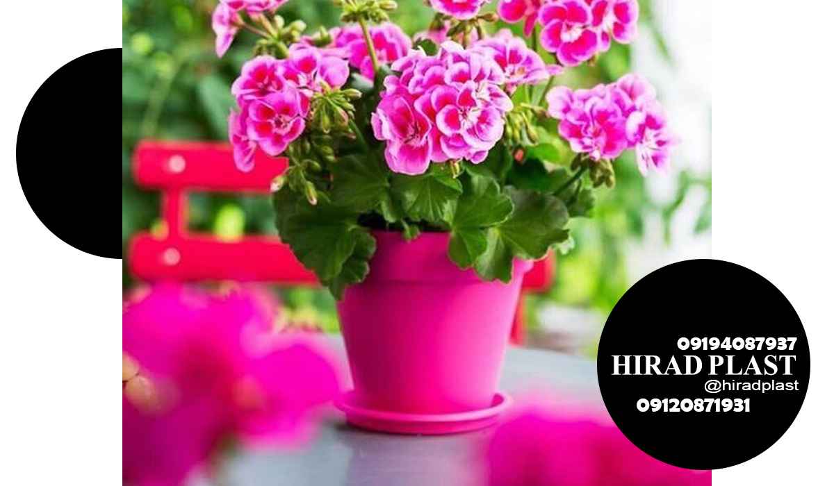 گلدان پلاستیکی آپارتمانی