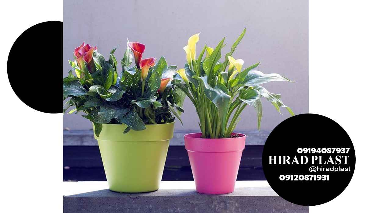گلدان پلاستیکی رنگی