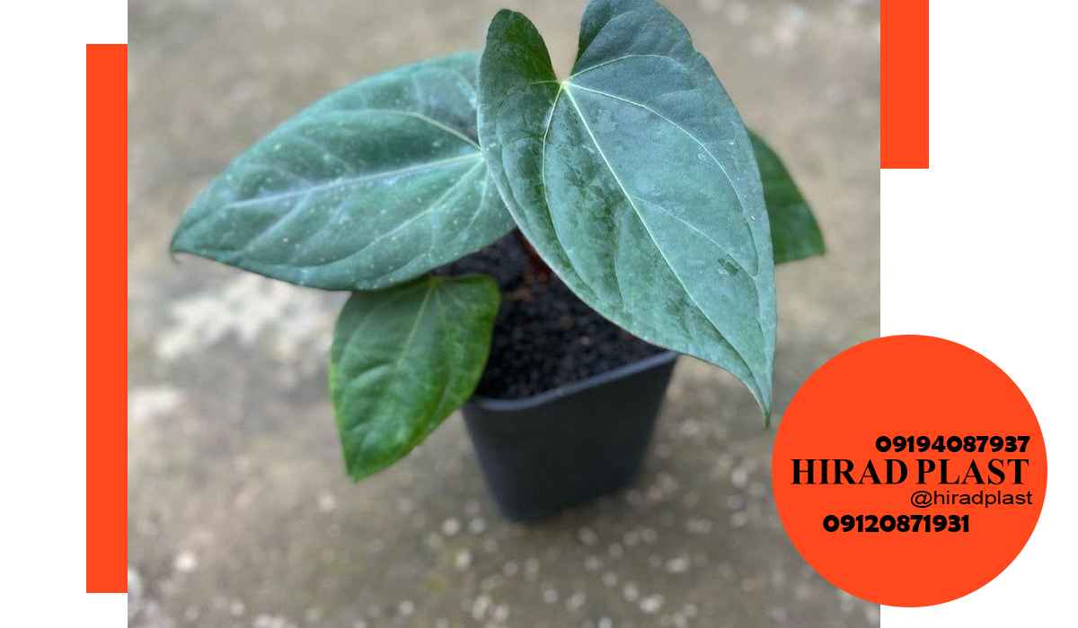 گلدان پلاستیکی مربع