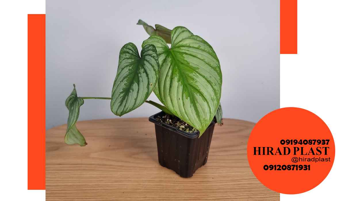 گلدان پلاستیکی کشاورزی