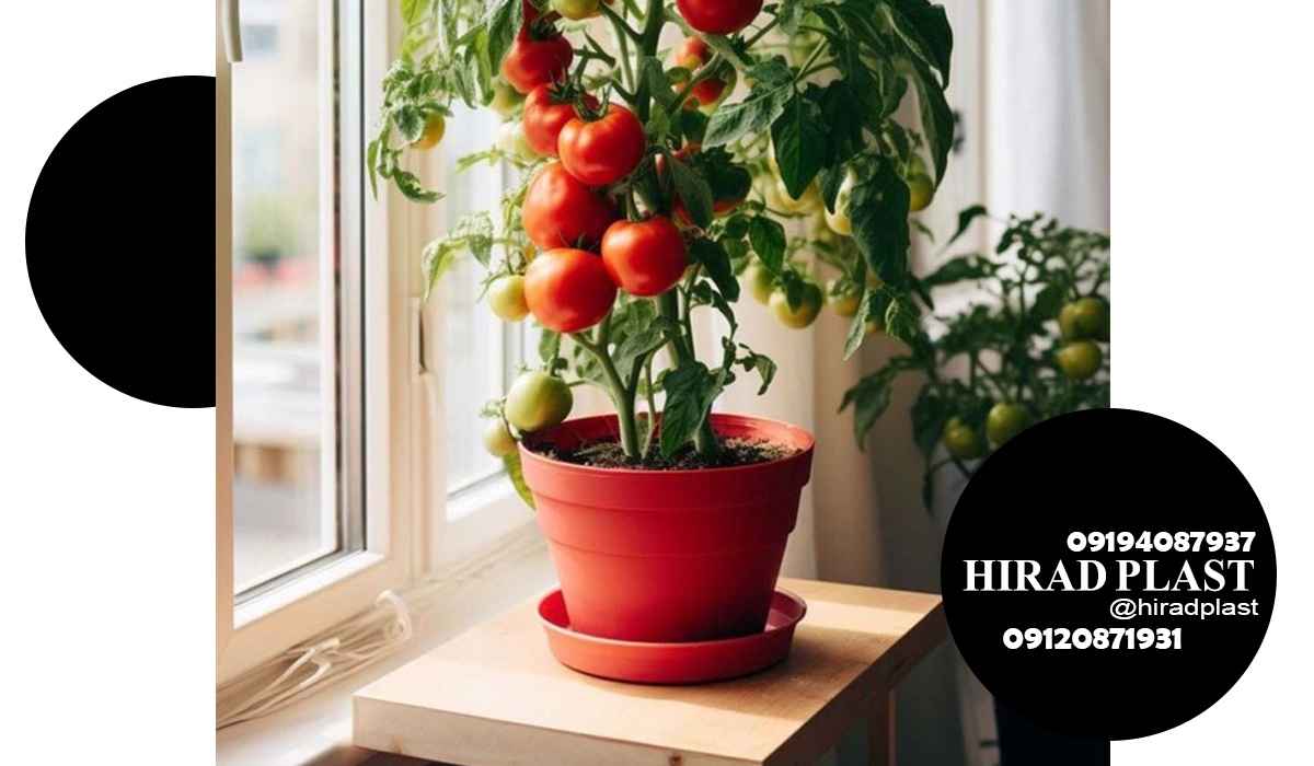 گلدان پلاستیکی گرد