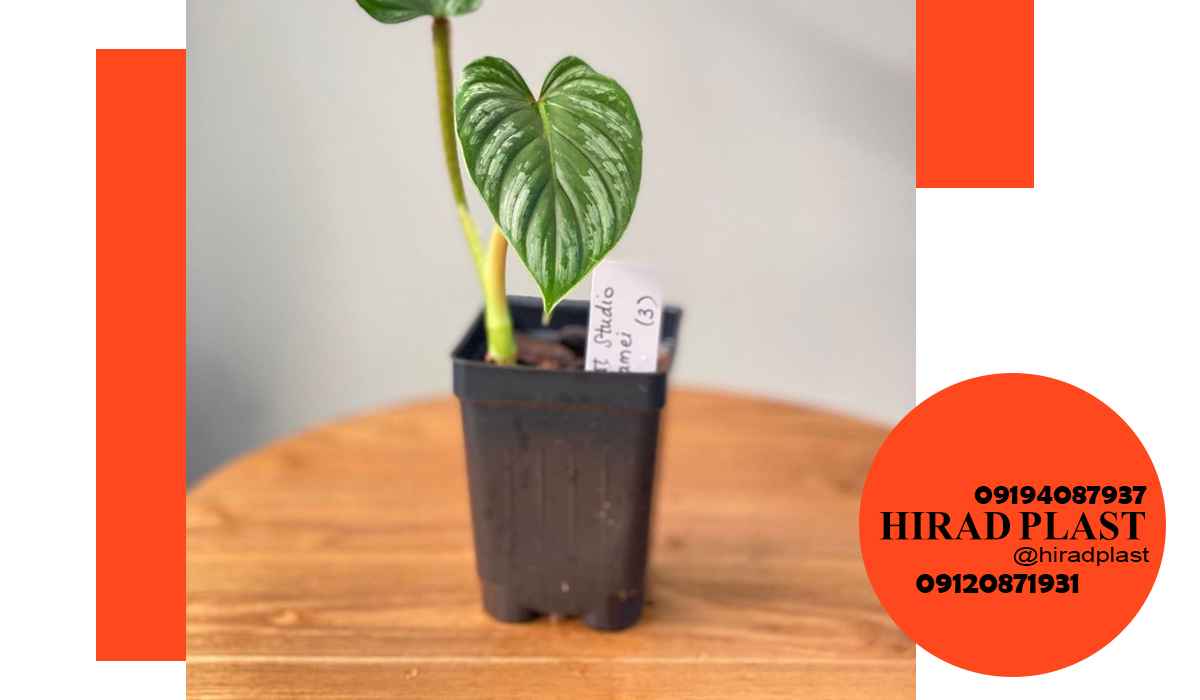 گلدان پلاستیکی گلخانه