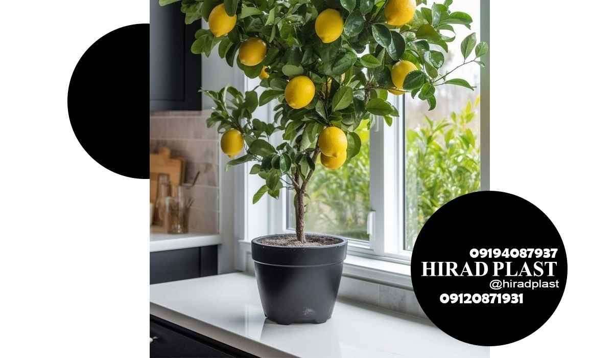 گلدان پلاستیکی آپارتمانی