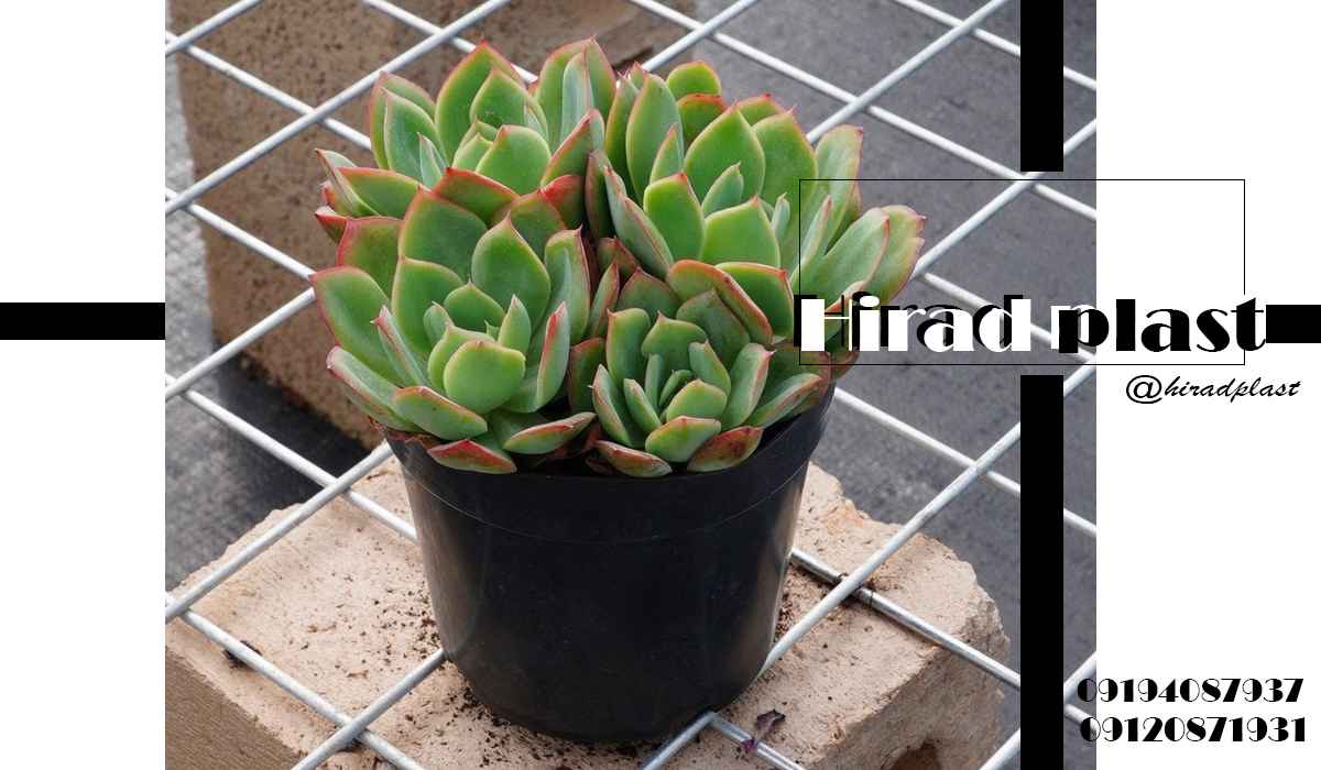 خرید گلدان پلاستیکی