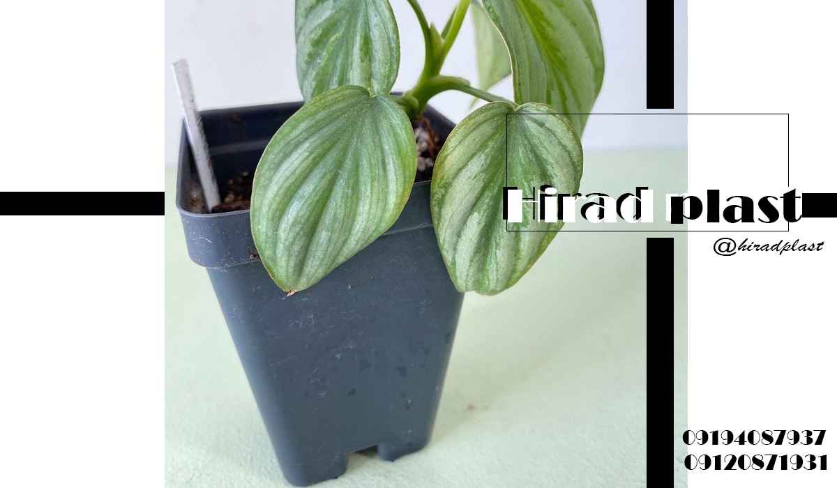 خرید گلدان کشاورزی