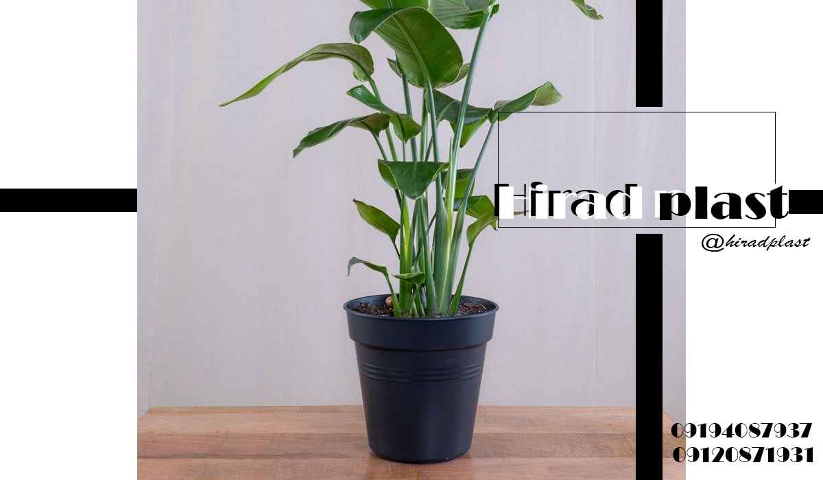 قیمت گلدان پلاستیکی