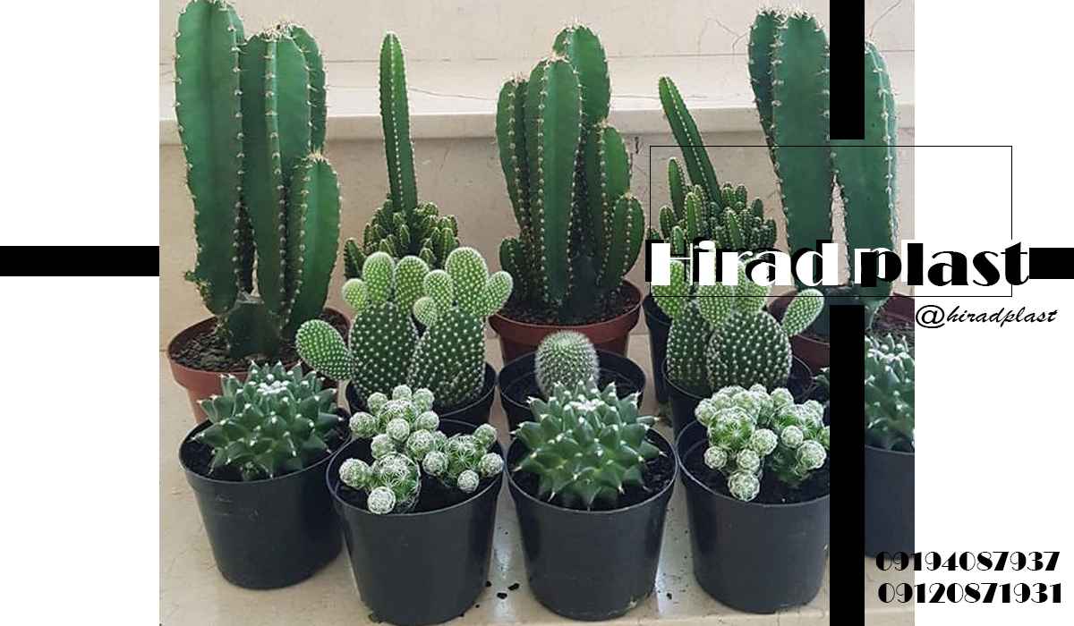 گلدان پلاستیکی ارزان