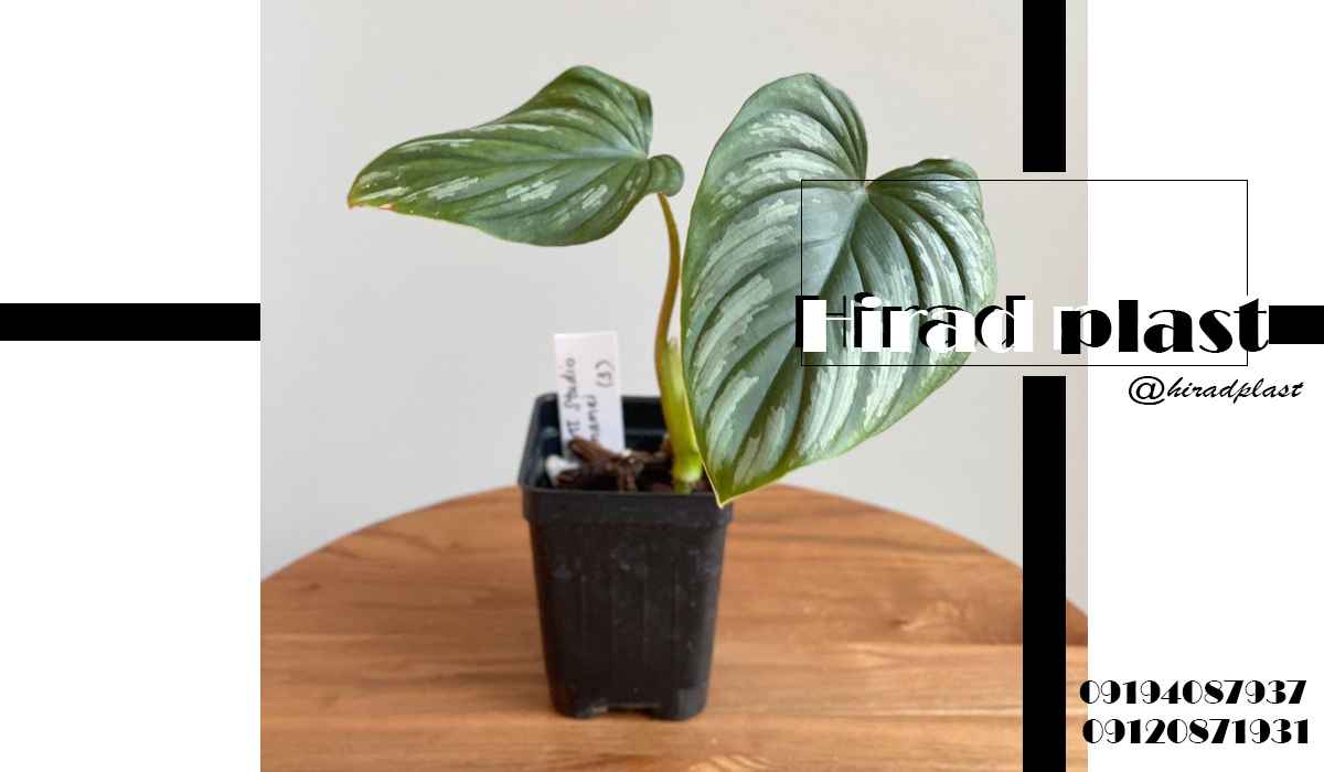 گلدان پلاستیکی باغی