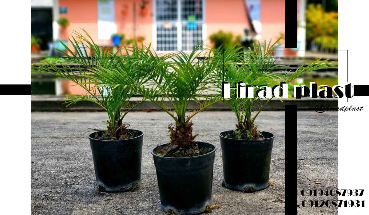 گلدان پلاستیکی سطلی