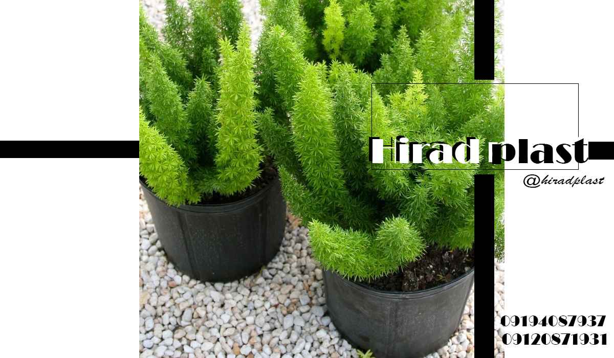 گلدان پلاستیکی گلخانه ای