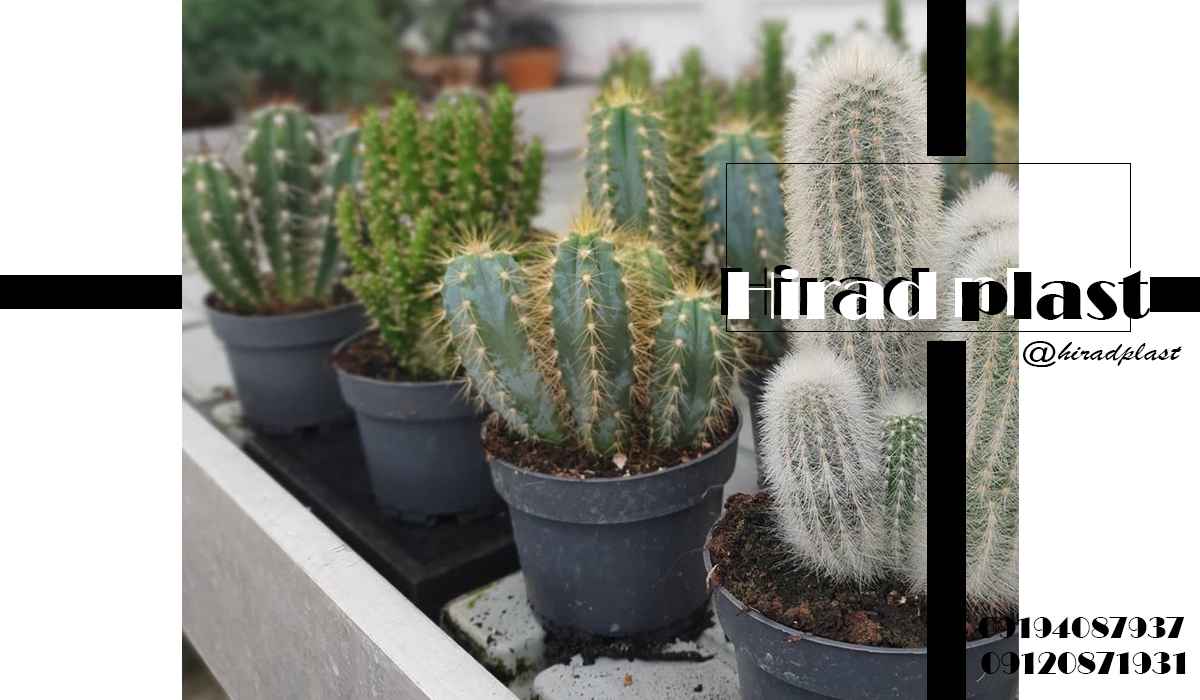 گلدان گلخانه ای