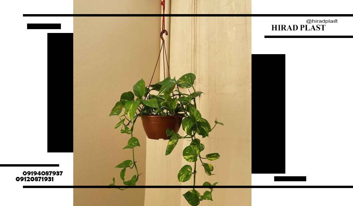 خرید گلدان پلاستیکی