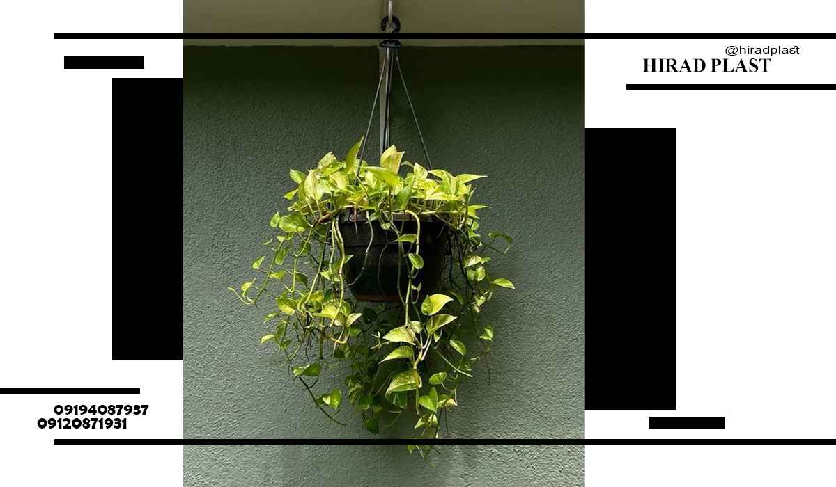 قیمت گلدان پلاستیکی