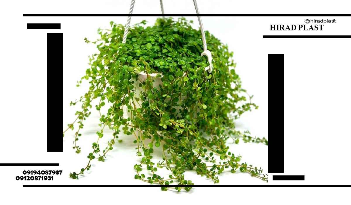 گلدان پلاستیکی آویز