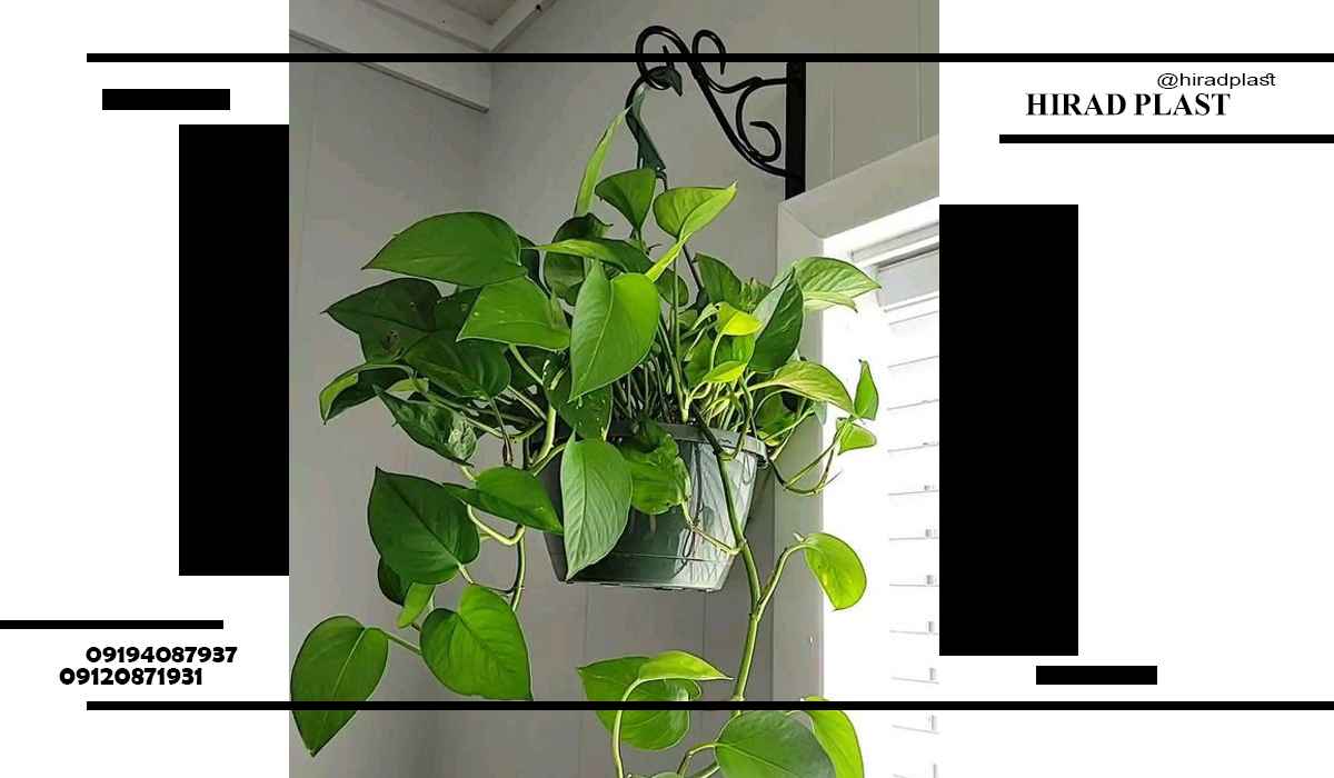 گلدان پلاستیکی آویزی