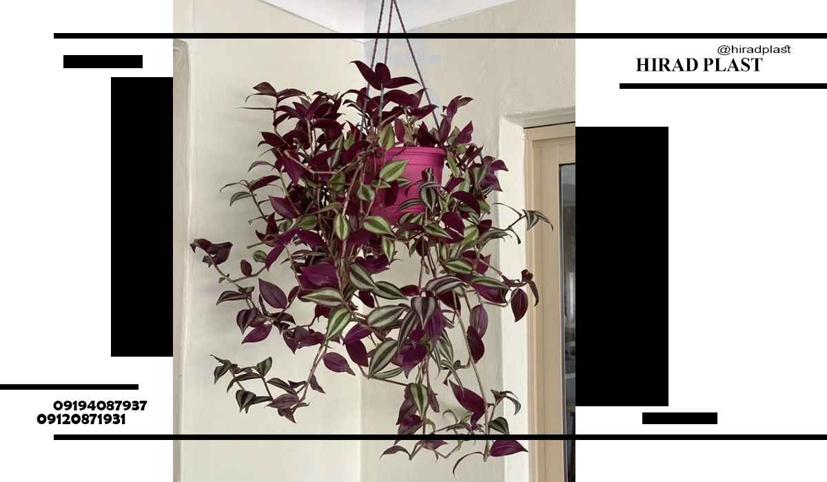 گلدان پلاستیکی ارزان