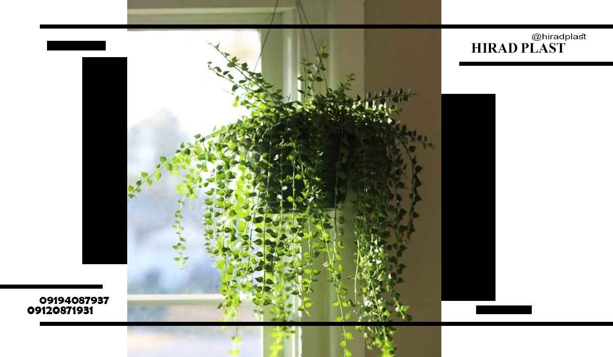 گلدان پلاستیکی اویزی