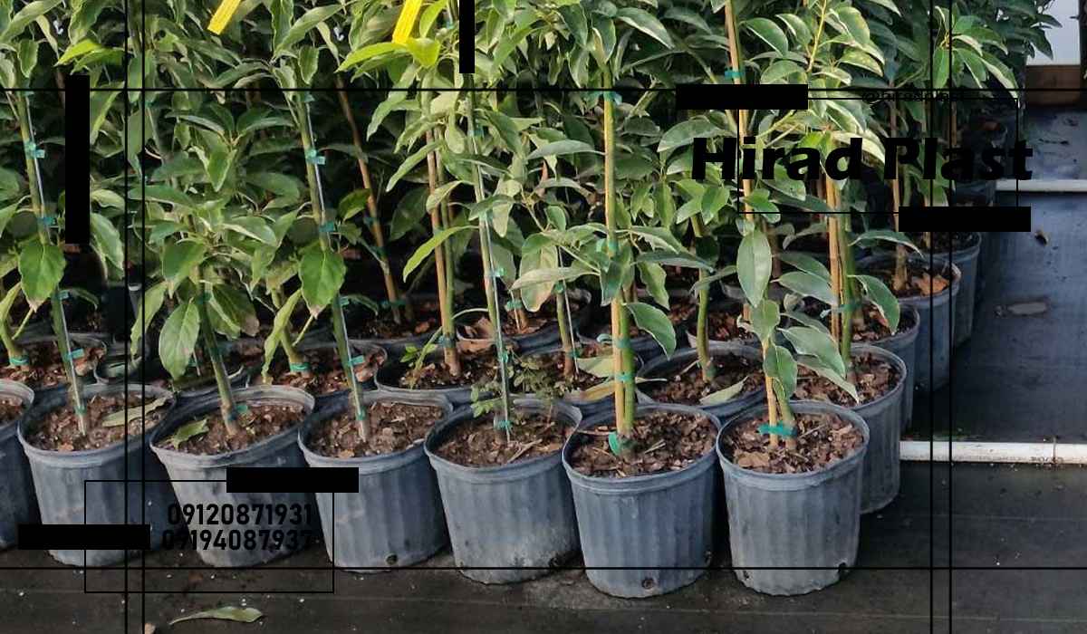 گلدان پلاستیکی عمده