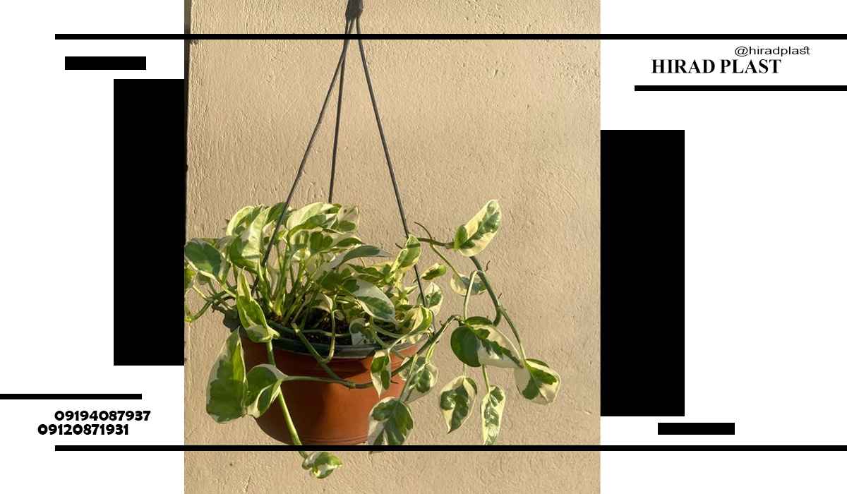 گلدان پلاستیکی عمده